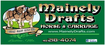 Mainely Drafts Horse And Carriage