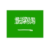 SAUDI ARABIA VISA
