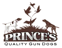 Prince's Quality Gun Dogs