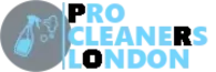 Pro Cleaners London