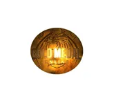 Gold Medal Mountain View