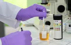 PT Screening Solutions