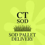 CT SOD