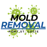 Mold Removal Port St. Lucie