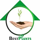 Best Plants