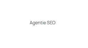 Agentie SEO Pro