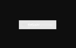 Credent Partners USA LLC