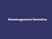 Déménagement Demelina
