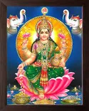 stathampatel