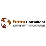 FEMA Consultant