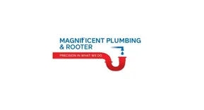 Magnificent Plumbing