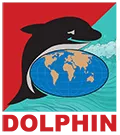 Dolphin Radiator | Heat Exchanger Manufacturers in USA