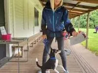 best dog training in phoenix