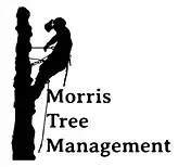 Morris Tree Management