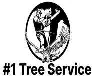 #1 Tree Service Wichita Falls