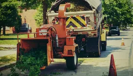 Wigan Wood Chipping