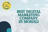 SEO Training in Mohali