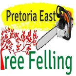 Pretoria East Treefelling