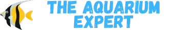The Aquarium Expert
