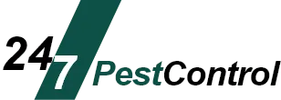 24/7 Pest Control | Mice Control 