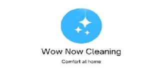 Wow Now Carpet Cleaning Tampa