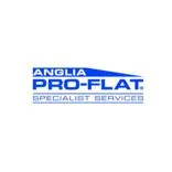 Anglia Pro-flat Specialist Services Ltd