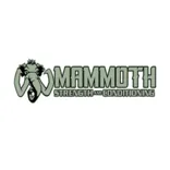 Mammoth Strength And Conditioning
