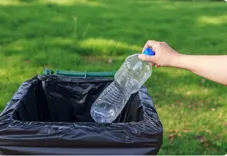 Bulk Waste Collection