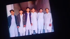 Khan gull seo