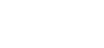 LEADERSHIP DEVELOPMENT, DIVERSITY & INCLUSION COACHING