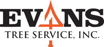 Evans Tree Service Inc.