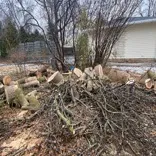 Emergency tree service