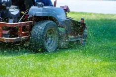 Denni's Gardening & Tree Service