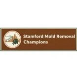 Stamford Mold Removal Champions