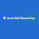 Lincoln Mold Removal Guys