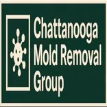 Chattanooga Mold Removal Group