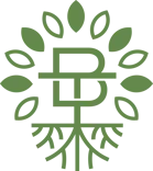 BirchTree Orthodontics