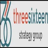316 Strategy Group