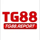 TG88 report