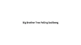Big Brother Tree Felling Sedibeng