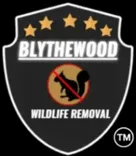 Blythewood Wildlife Removal and Control