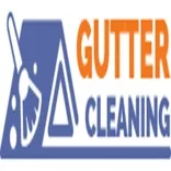Gutter Cleaning