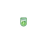 Bravo Sports Tours