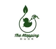The Mopping Duck