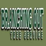 Tree Cutting & Trimming Baldwin