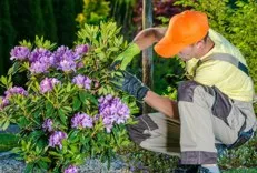 Gardening Services Heston