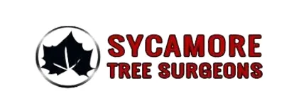 Sycamore Tree Surgeons