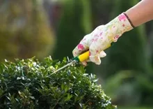 Super Gardeners