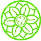 Gynaemd