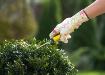 Pressure Washing Victoria